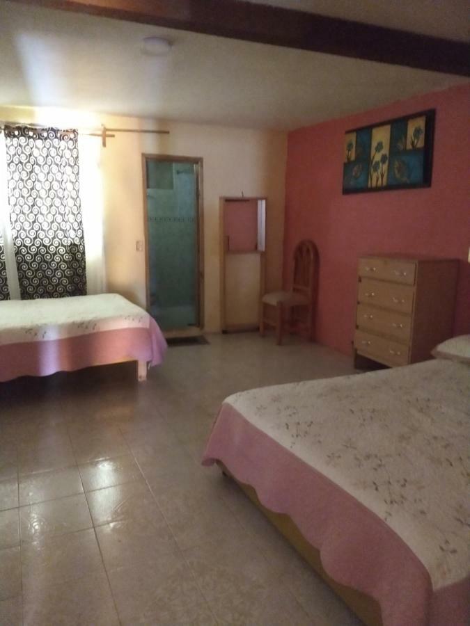 El Paraiso De Zacatlan Departamento Con Jardin, 11 Pax Εξωτερικό φωτογραφία