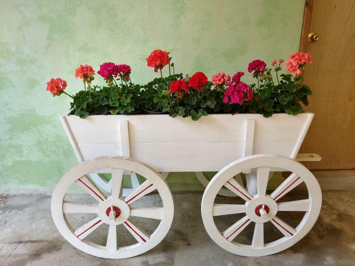 El Paraiso De Zacatlan Departamento Con Jardin, 11 Pax Εξωτερικό φωτογραφία