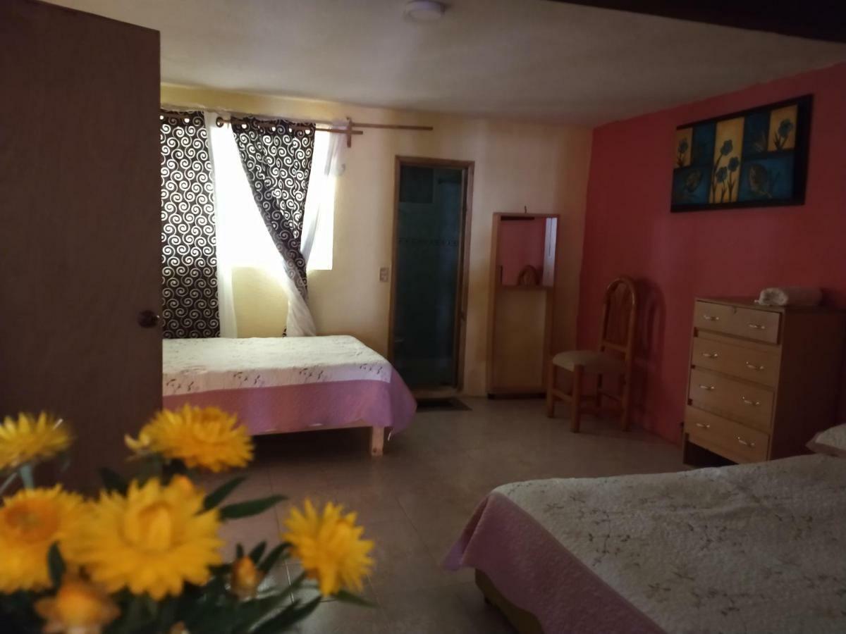 El Paraiso De Zacatlan Departamento Con Jardin, 11 Pax Εξωτερικό φωτογραφία